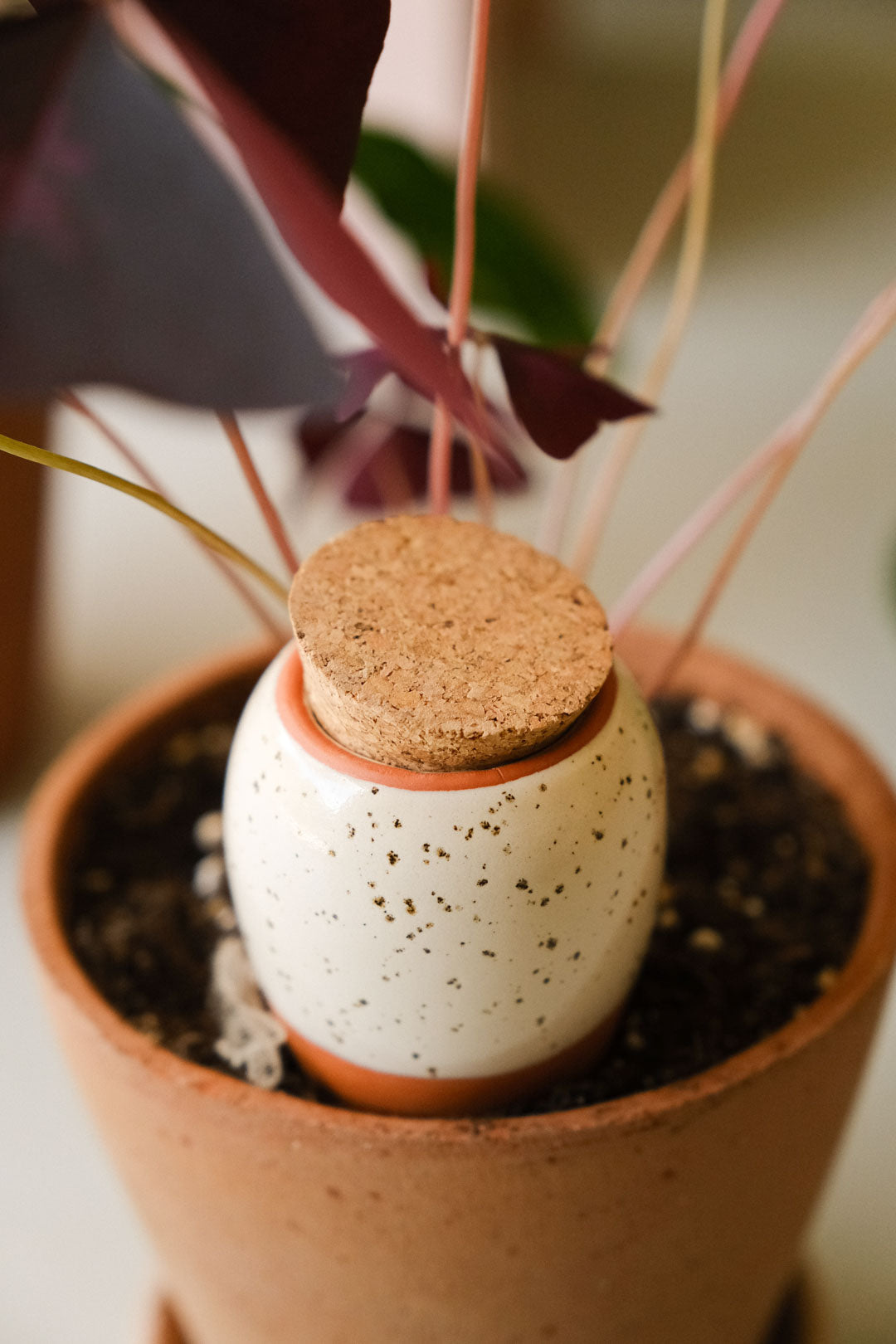 Mini Olla Trio Classic