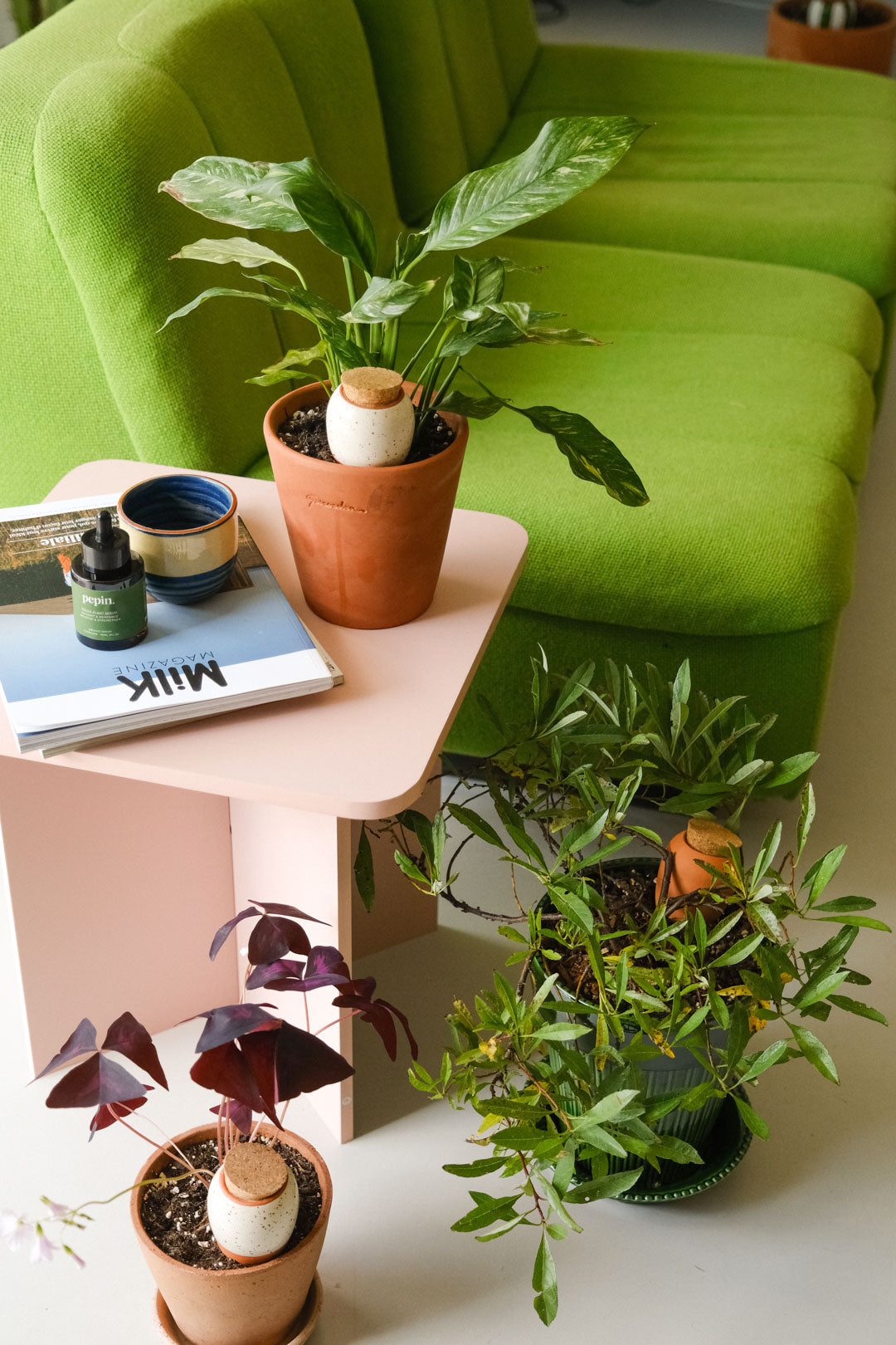 Mini Olla Trio Classic