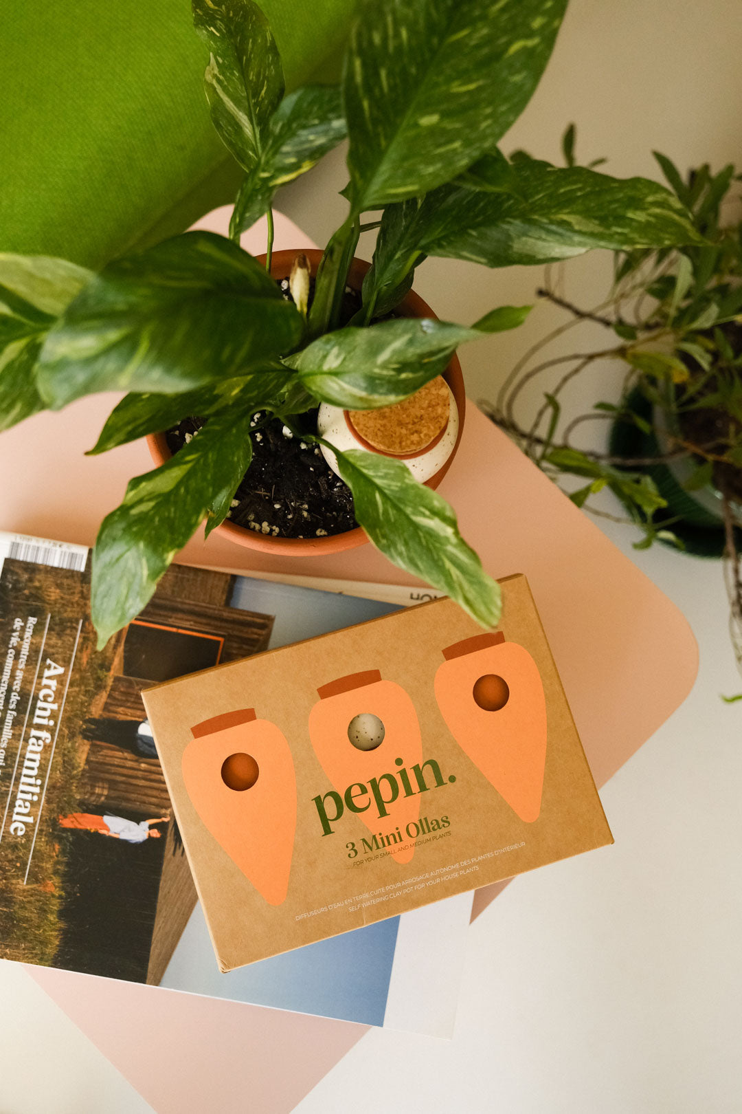 Mini Olla Trio Classic