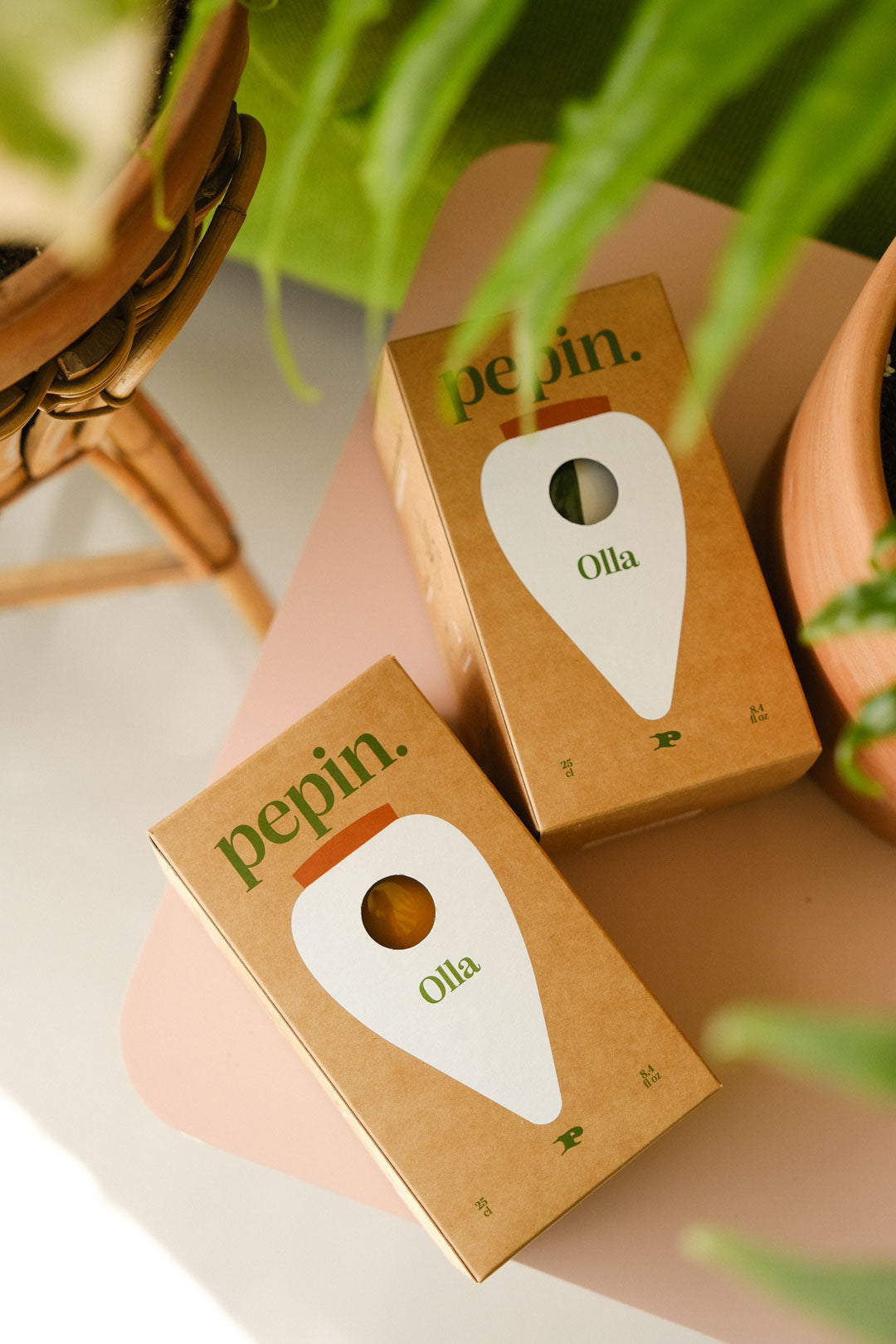 Olla Orange & Pale Blue