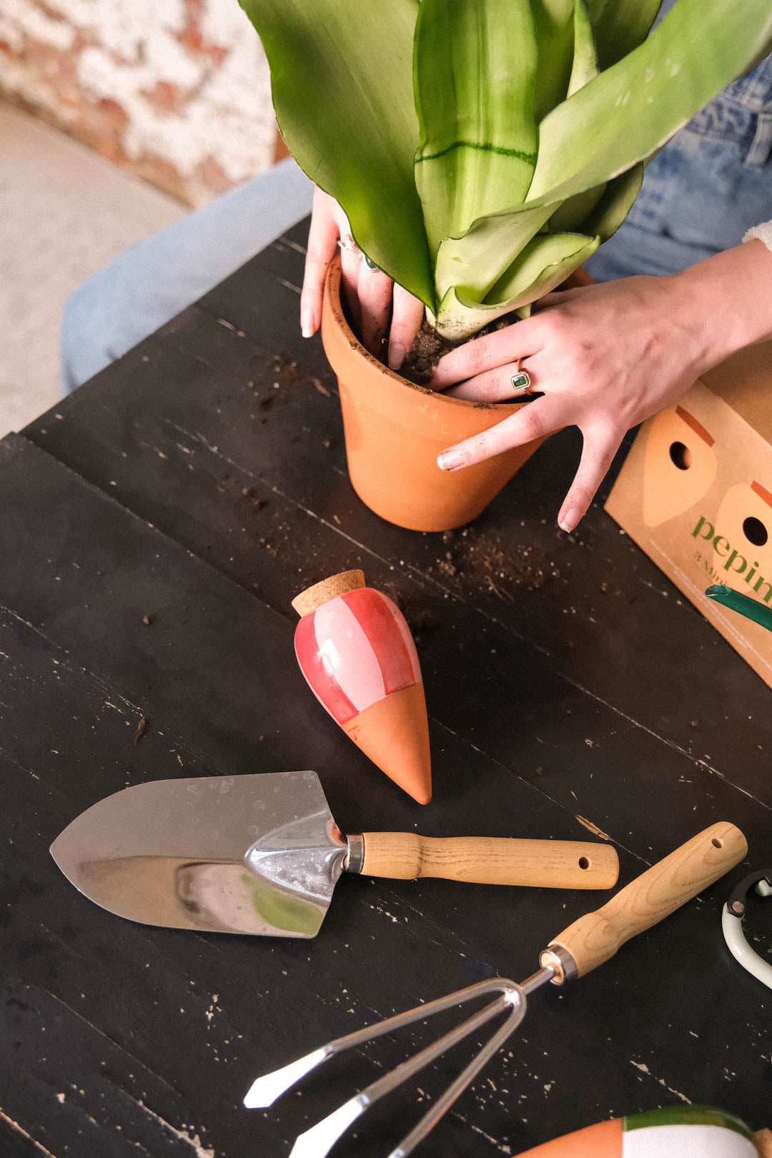 Mini Olla Trio Striped