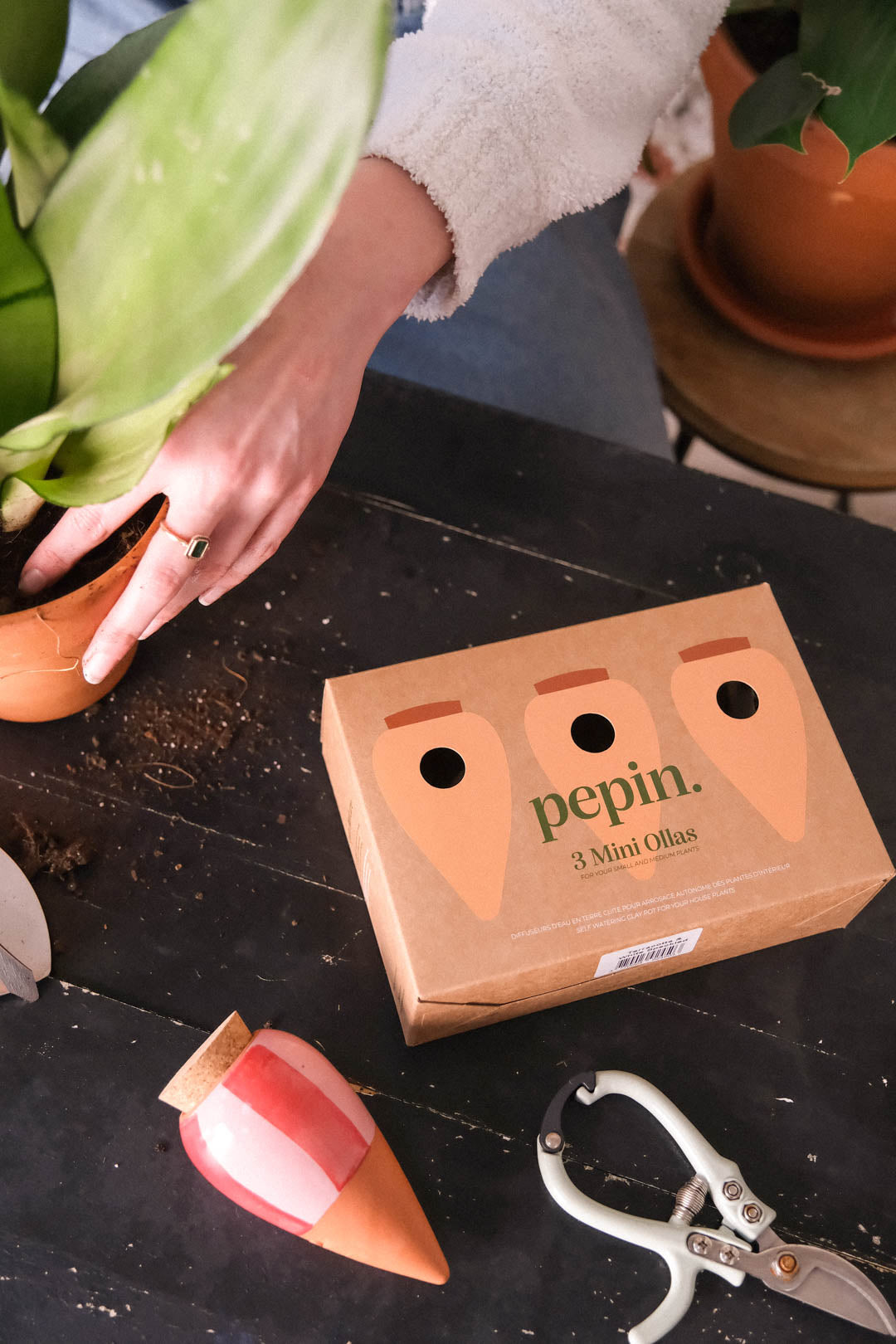 Mini Olla Trio Striped