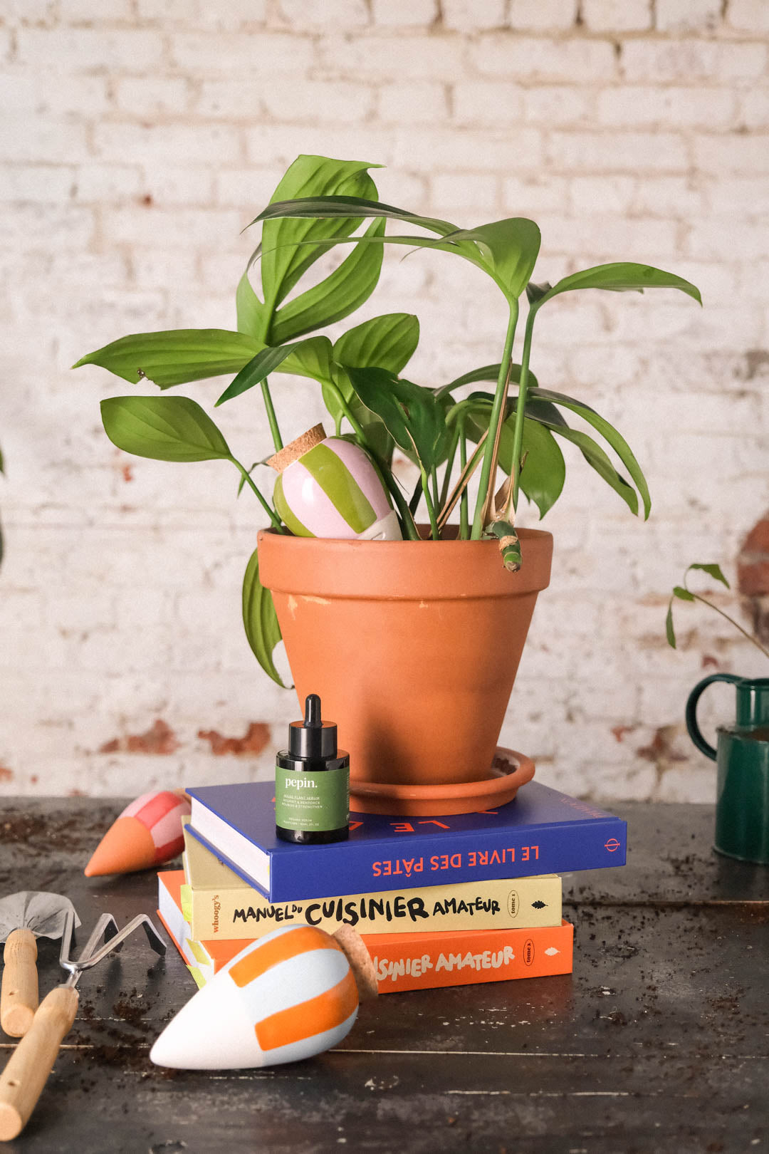 Olla Orange & Pale Blue