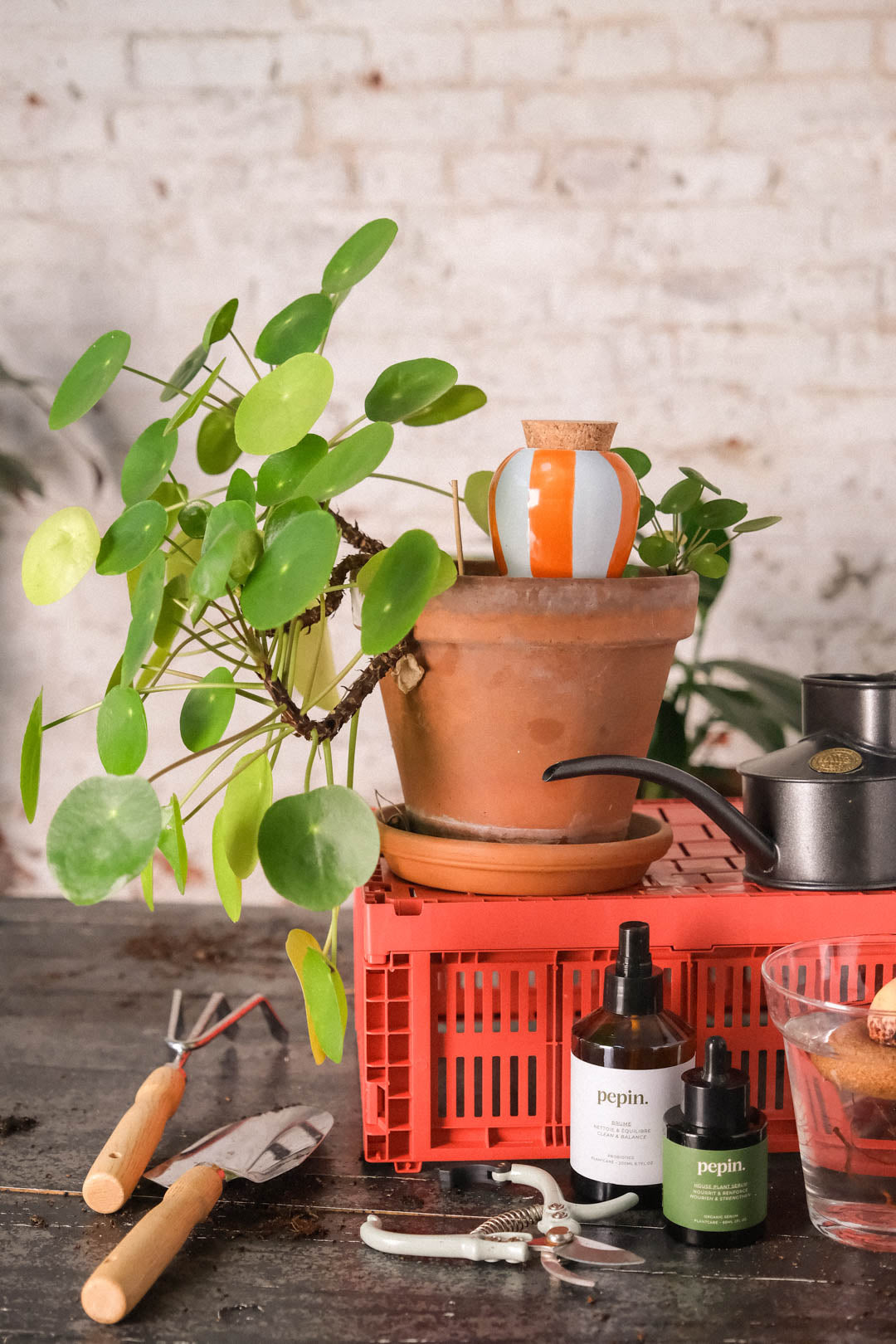 Olla Orange & Pale Blue