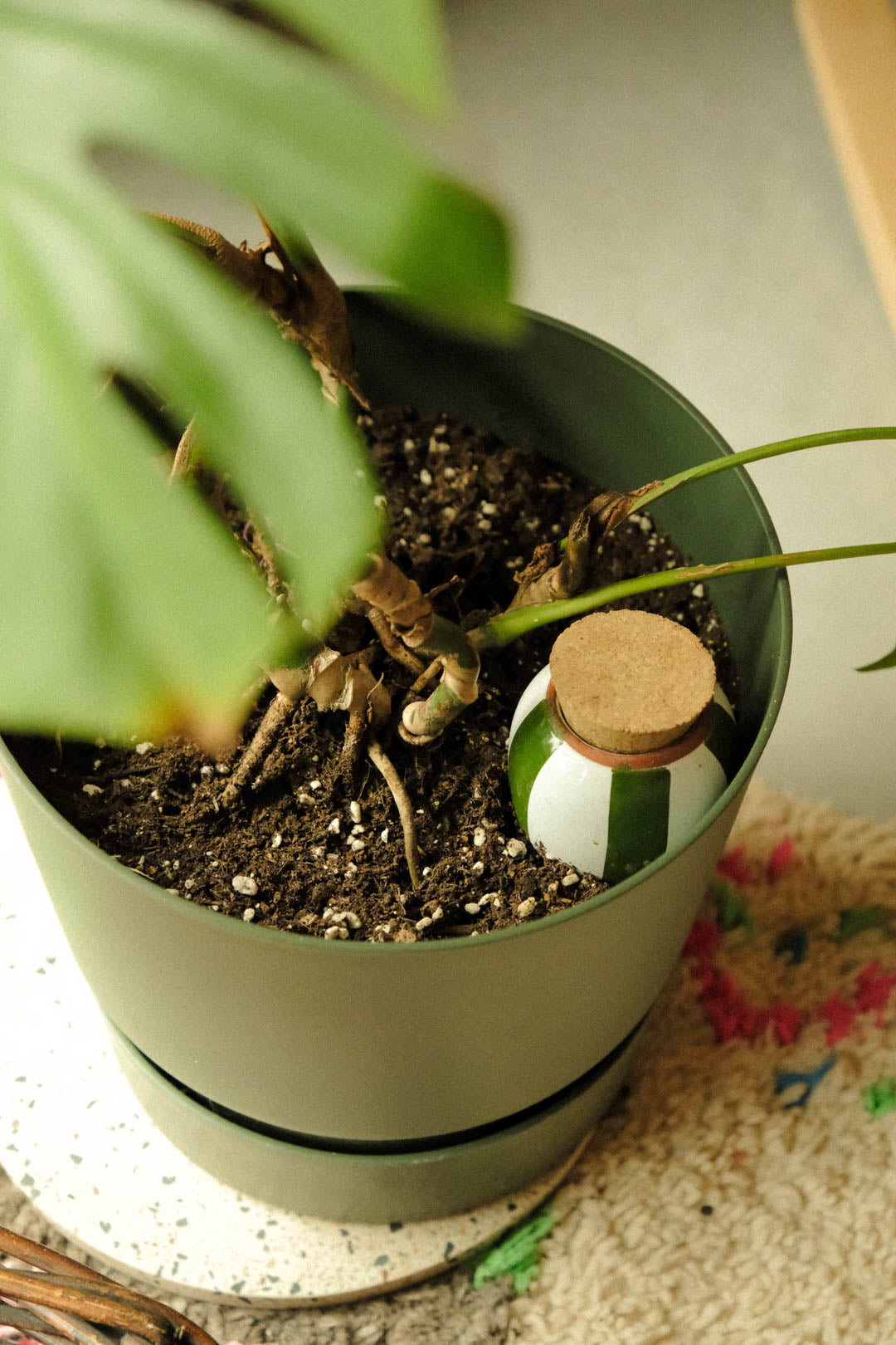 Olla Green & Pale Green