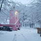 Pink Maple Farm - Lac Brome Maple Syrup 750ml