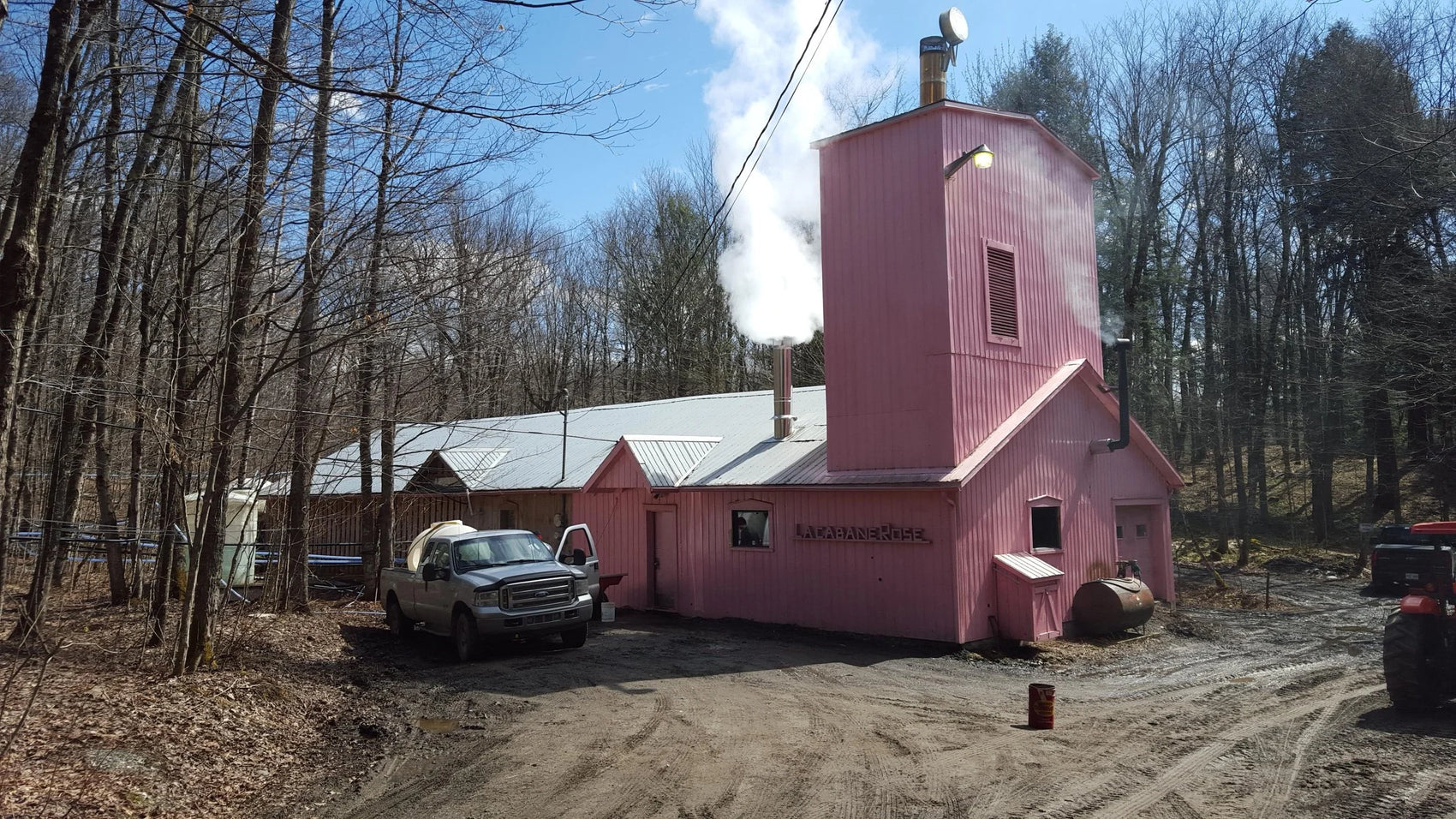 Pink Maple Farm - Lac Brome Maple Syrup 250ml