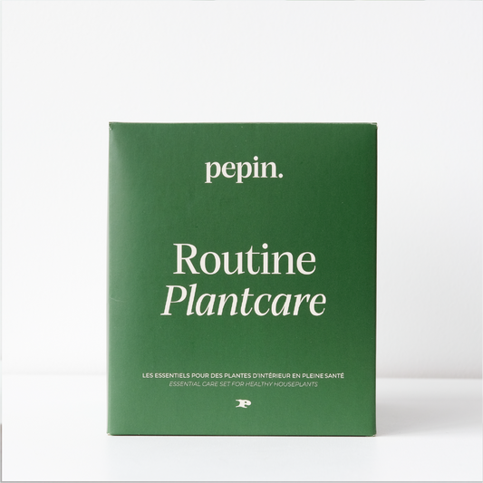 Routine Plantcare