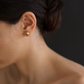 Roan Gold Earrings