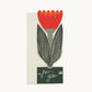 Red Tulip For You Card