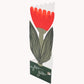 Red Tulip For You Card